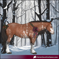 Horse Color:Bay Sabino Rabicano  and Bay Sabino Rabicano 