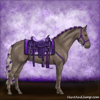 Horse Color:Silver Black 