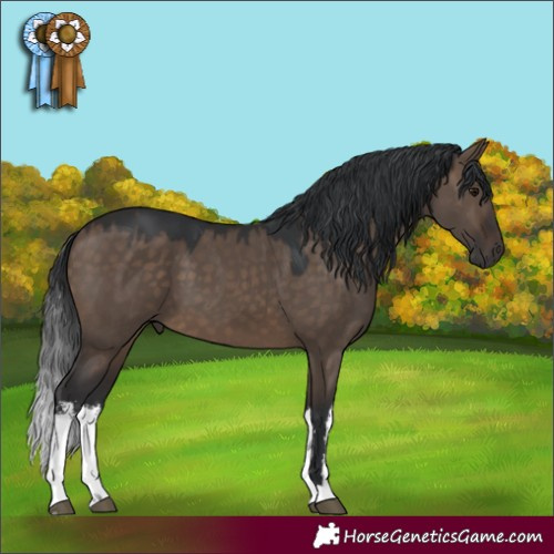 Horse Color:White Spotted Brown Dun