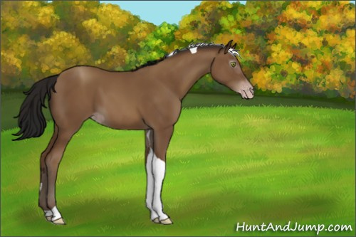Horse Color:Gray Amber Champagne Tobiano 