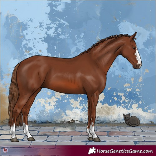 Horse Color:Chestnut 