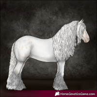Horse Color:Gray Silver Amber Cream Champagne Roan Dun Splash Tobiano Frame Varnish Rabicano 