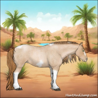 Horse Color:Red Roan Pearl Tobiano Frame