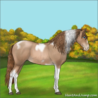 Horse Color:Liver Red Roan Pearl Tobiano Frame 