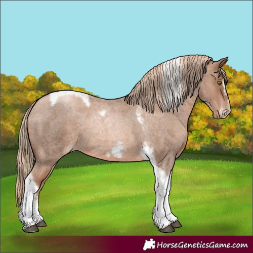 Horse Color:Liver Red Roan Pearl Tobiano Frame 
