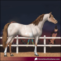 Horse Color:Liver Red Roan Pearl Tobiano Frame 