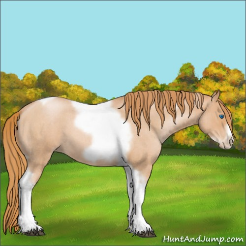 Horse Color:Red Roan Pearl Tobiano Frame