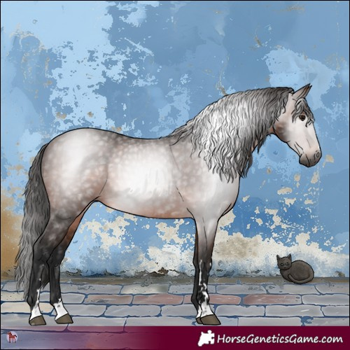 Horse Color:Gray Bay