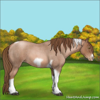 Horse Color:Liver Red Roan Pearl Tobiano Frame