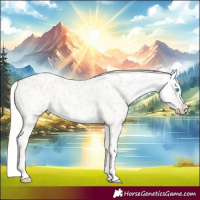 Horse Color:Cremello Near Leopard