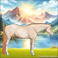 Horse Color:Gold Champagne Pearl Rabicano  and Sable Champagne Pearl Rabicano 