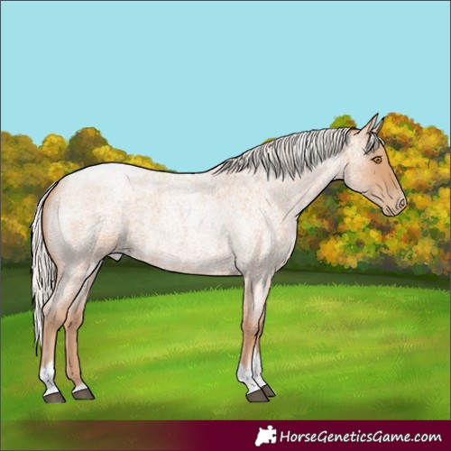 Horse Color:Silver Blue Roan Pearl Tobiano Frame