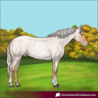 Horse Color:Silver Blue Roan Pearl Tobiano Frame 