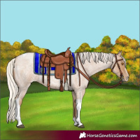 Horse Color:Silver Blue Roan Pearl Tobiano Frame 