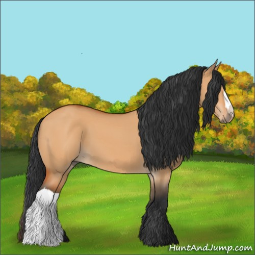 Horse Color:Bay Dun