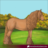 Horse Color:Chestnut  and Chestnut 