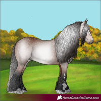 Horse Color:Gray Bay 