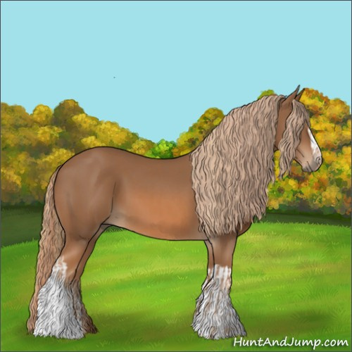 Horse Color:Chestnut and Chestnut