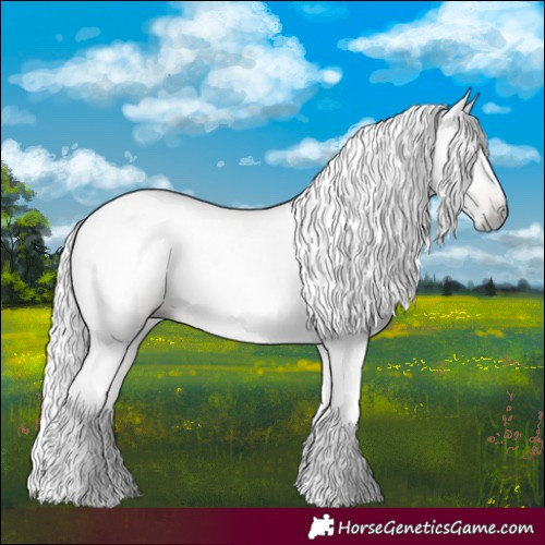 Horse Color:Gray Bay Dun