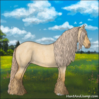 Horse Color:Palomino Roan Dun 