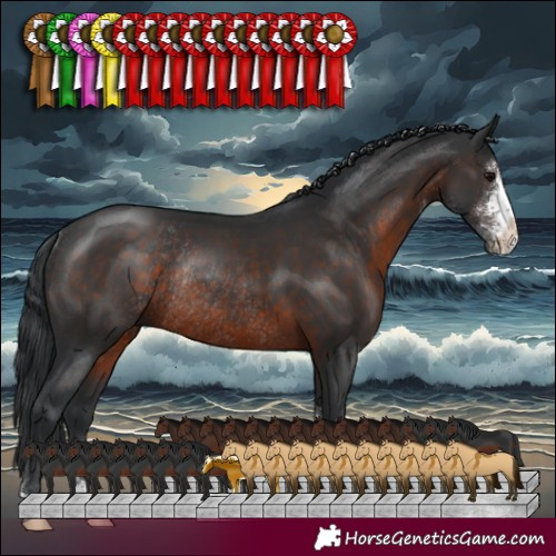 Horse Color:Brown Sabino Rabicano 