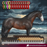 Horse Color:Brown Sabino Rabicano