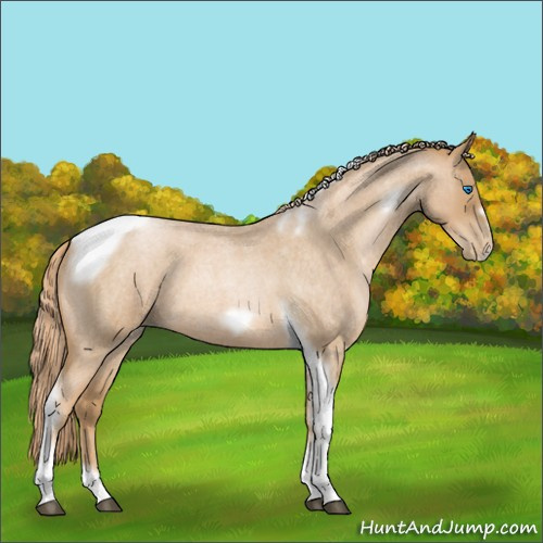Horse Color:Red Roan Pearl Tobiano Frame 