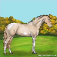 Horse Color:Red Roan Pearl Tobiano Frame 