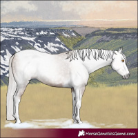 Horse Color:Gray Silver Classic Champagne Tobiano 