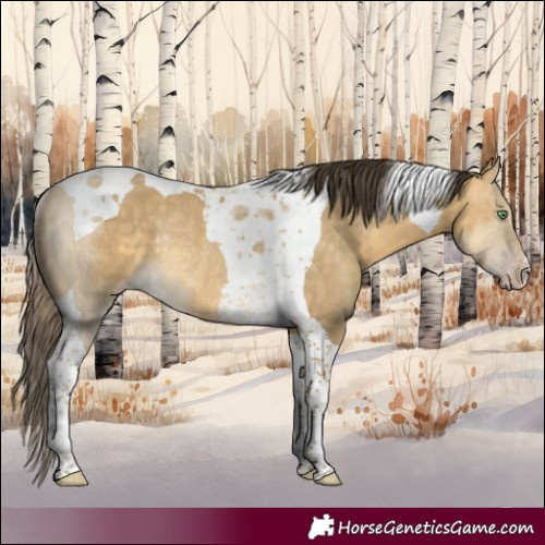 Horse Color:Sable Cream Champagne Dun Tobiano Rabicano