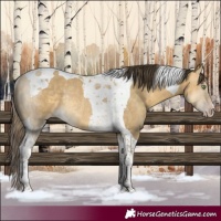 Horse Color:Sable Cream Champagne Dun Tobiano Rabicano