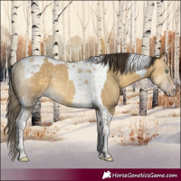 Horse Color:Sable Cream Champagne Dun Tobiano Rabicano