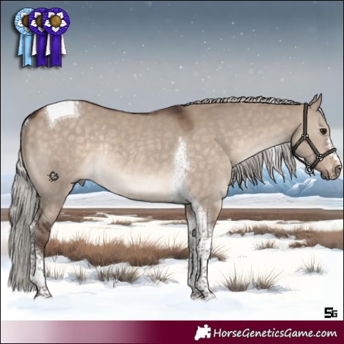 Horse Color:Silver Brown Dun Tobiano Rabicano 