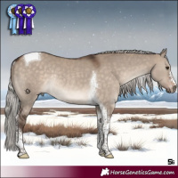 Horse Color:Silver Brown Dun Tobiano Rabicano 