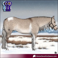 Horse Color:Silver Brown Dun Tobiano Rabicano 