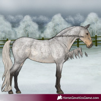Horse Color:Silver Smoky Blue Roan 