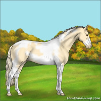 Horse Color:Palomino Dun Tobiano Frame Blanket