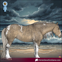 Horse Color:White Spotted Silver Smoky Grullo and Silver Smoky Grullo Tobiano