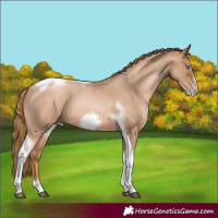Horse Color:Red Roan Pearl Tobiano Frame 