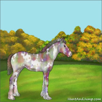 Horse Color:Nacre Plaid  White Spotted Red Onyx 