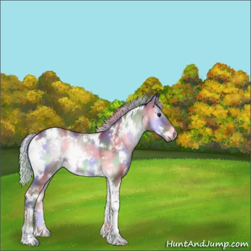 Horse Color:Nacre White Spotted Chocolate Silver Blue Onyx Chinchilla 