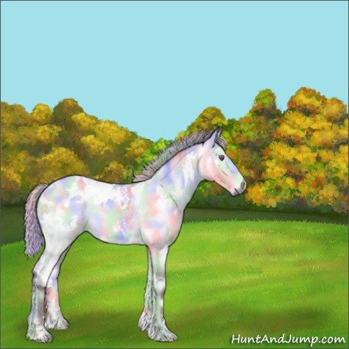 Horse Color:Nacre White Spotted Chocolate Silver Bay Chinchilla Onyx 