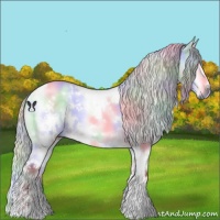 Horse Color:Nacre White Spotted Chocolate Silver Bay Chinchilla Onyx 