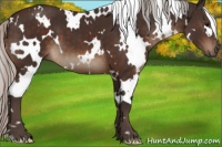 Horse Color:White Spotted Silver Brown 
