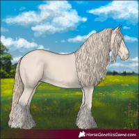 Horse Color:Smoky Creme 