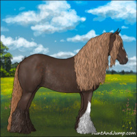 Horse Color:Liver Chestnut Rabicano 