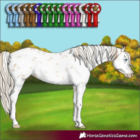 Horse Color:White Spotted Chocolate Palomino Pearl Sabino 