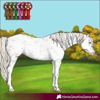Horse Color:White Spotted Chocolate Palomino Pearl Sabino 