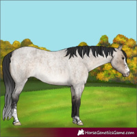 Horse Color:Brown Roan Dun Sabino Brindle