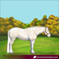 Horse Color:Silver Sable Cream Champagne Pearl Dun Tobiano